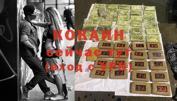 ALPHA PVP Богородицк