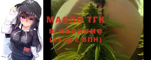 соль ск Богданович