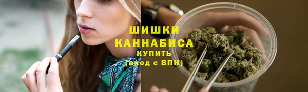 соль ск Богданович