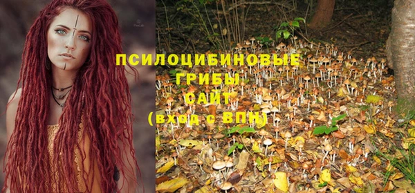 соль ск Богданович