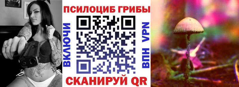 Галлюциногенные грибы мицелий  Купить  Озёры 